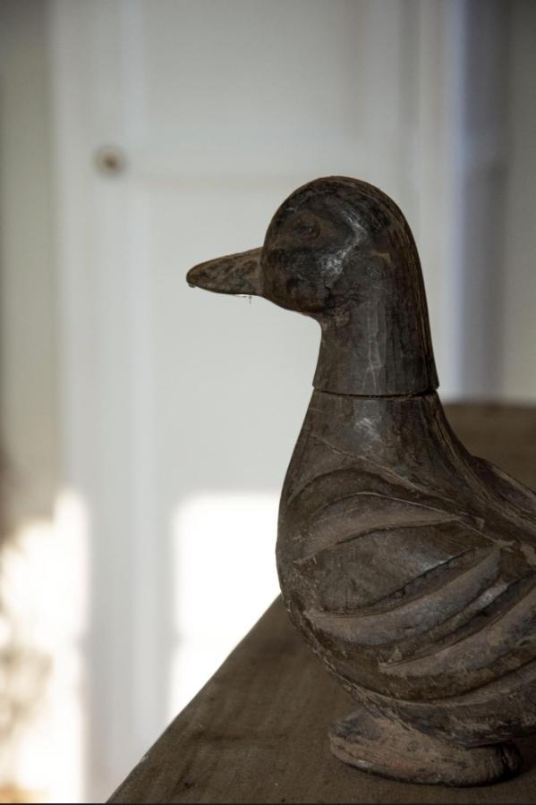 Le Roi Des Oiseaux - Gite A La Campagne Montcavrel Buitenkant foto