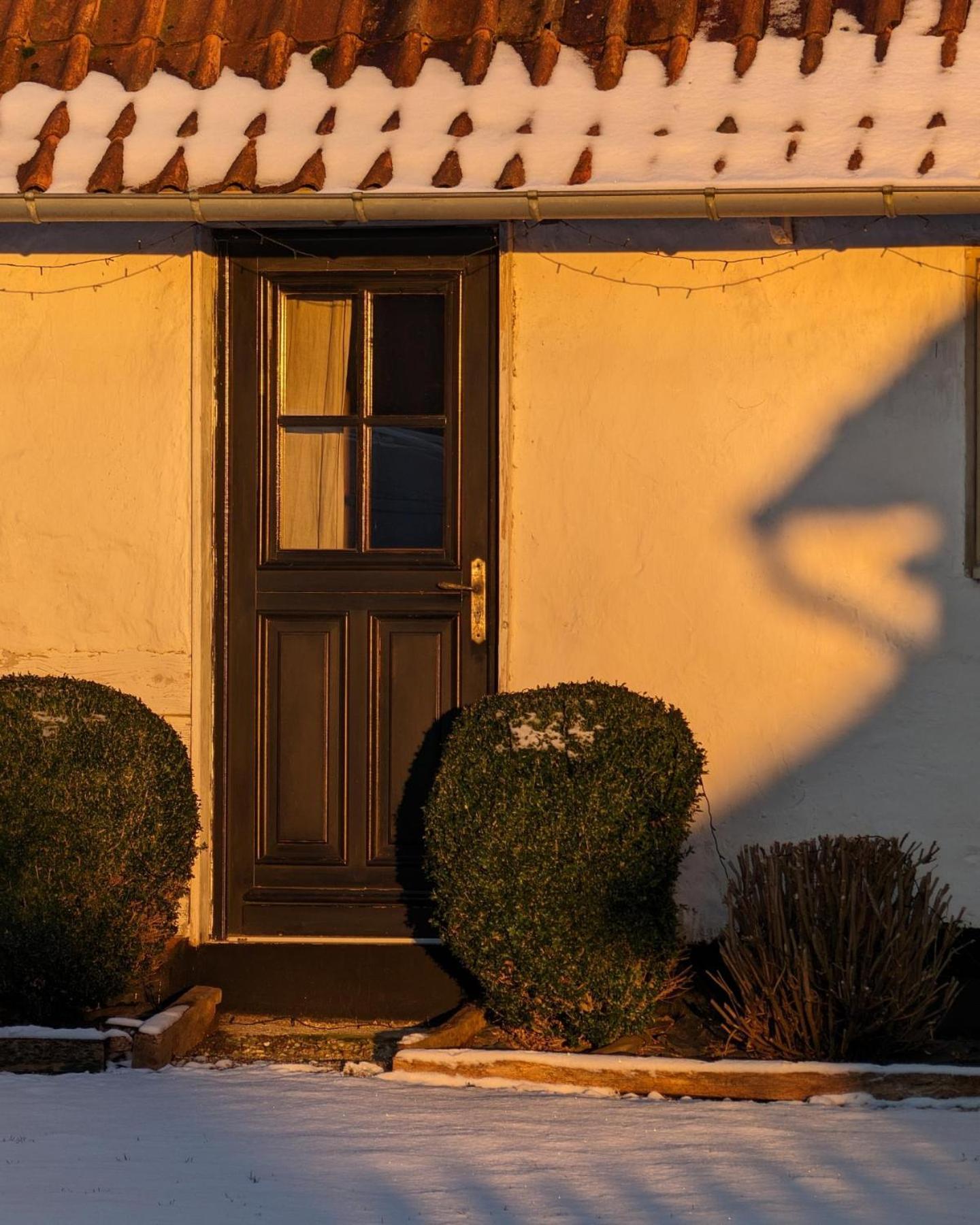 Le Roi Des Oiseaux - Gite A La Campagne Montcavrel Buitenkant foto